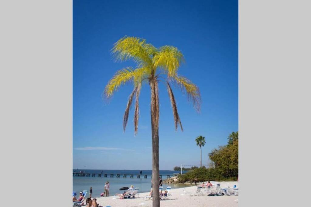 Manatee, Studio202, Beach Steps Away! Pool+Wifi Ruskin Exterior photo